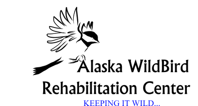 Alaska WildBird Rehabilitation Center
